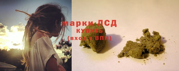 трава Арсеньев